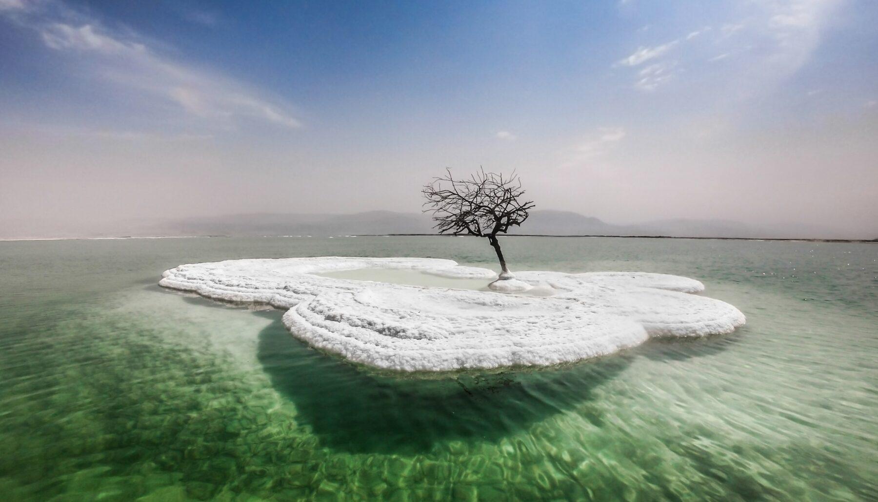 Un árbol solitario se alza sobre formaciones salinas blancas en aguas cristalinas de color turquesa. La serena escena presenta un cielo espectacular con nubes tenues y montañas lejanas en el horizonte.