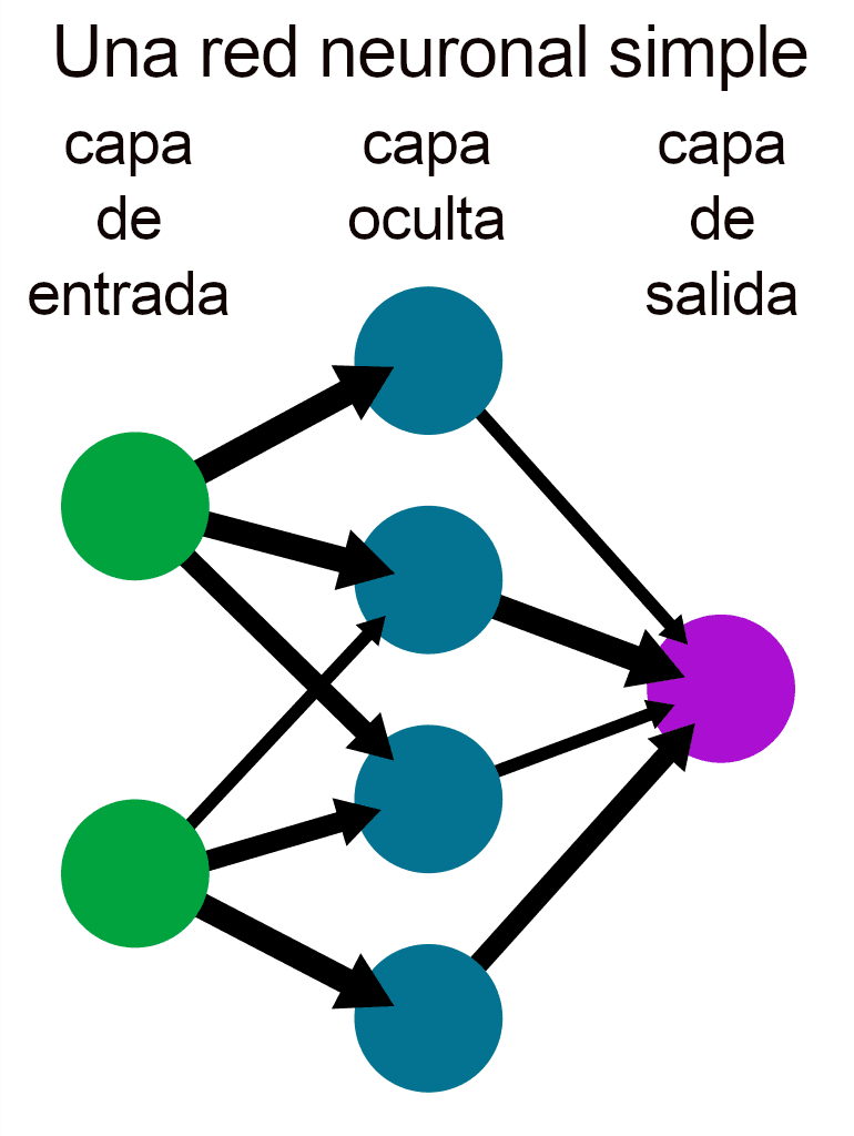 La imagen muestra un diagrama simplificado de una red neuronal artificial. En la parte superior hay un texto que dice 'Una red neuronal simple' seguido de las etiquetas 'capa de entrada', 'capa oculta' y 'capa de salida', indicando las tres capas típicas de una red neuronal. Hay tres círculos verdes representando las neuronas de la capa de entrada, cuatro círculos azules para la capa oculta y un círculo rosa con bordes irregulares que simula una neurona de activación en la capa de salida. Flechas azules apuntan desde las neuronas de la capa de entrada hacia las de la capa oculta y desde estas últimas hacia la neurona de salida, sugiriendo cómo se transmite la información a través de la red.