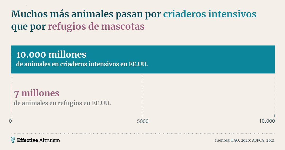 La imagen tiene un título que dice 'Muchos más animales pasan por criaderos intensivos que por refugios de mascotas', y muestra un gráfico de barras con dos datos: '10 000 millones de animales en criaderos intensivos en EE. UU.' y '7 millones de animales en refugios en EE. UU.', destacando la gran disparidad entre ambos números.