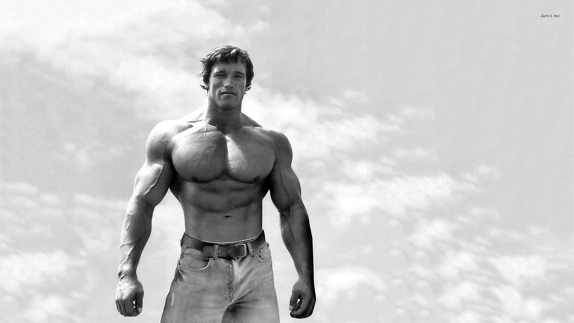 El flexible capital profesional de Arnold Schwarzenegger