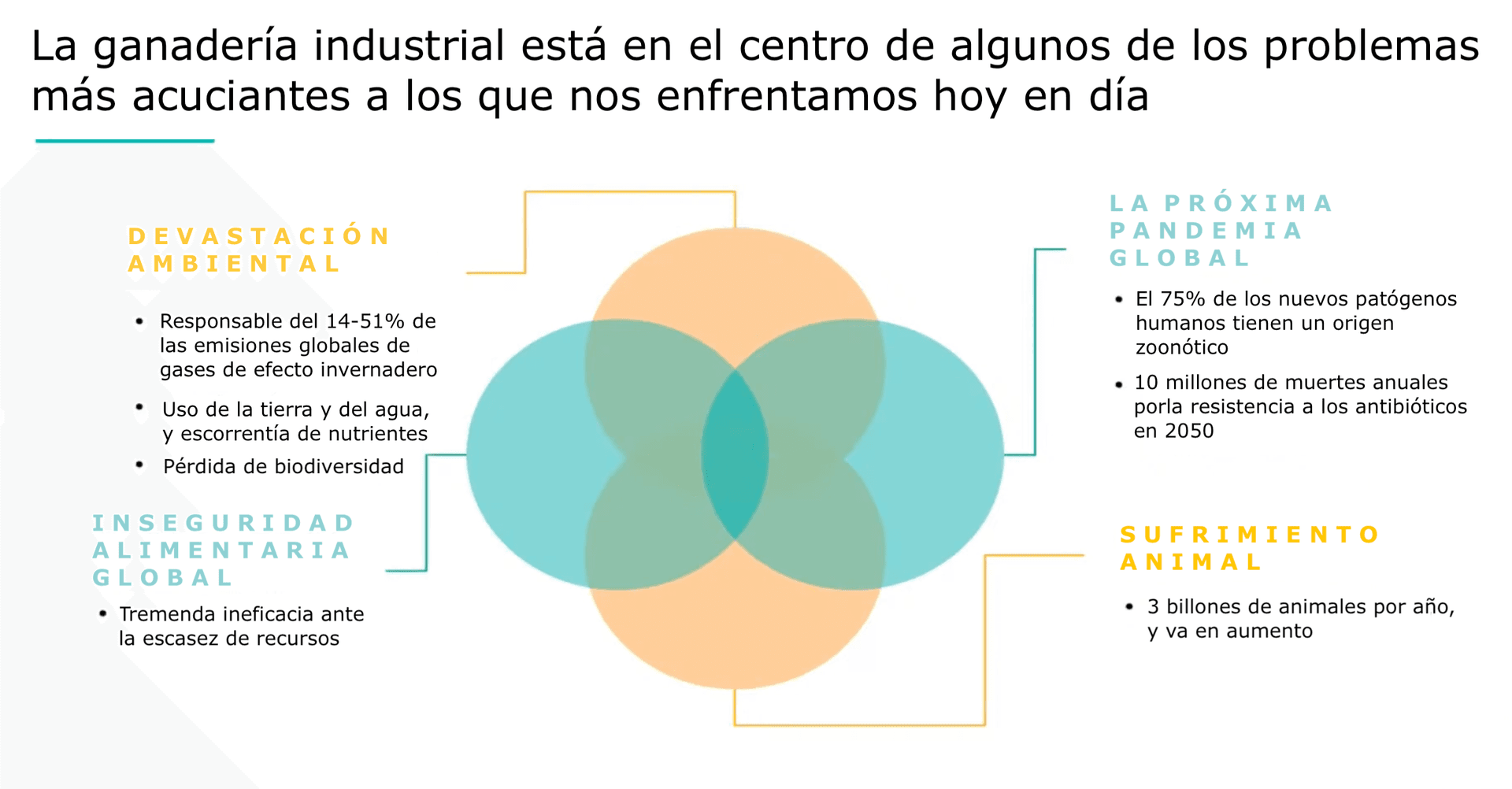 La imagen es un gráfico informativo que discute el impacto de la ganadería industrial. En la parte superior hay un título que dice: 'La ganadería industrial está en el centro de algunos de los problemas más acuciantes a los que nos enfrentamos hoy en día'. A la izquierda, derecha e inferior del gráfico se presentan tres categorías con sus respectivas problemáticas relacionadas con la ganadería industrial: 1. 'Devastación Ambiental': Se menciona que la ganadería industrial es responsable del 14-51 % de las emisiones globales de gases de efecto invernadero, el uso de la tierra y del agua, la escorrentía de nutrientes y la pérdida de biodiversidad. 2. 'Inseguridad Alimentaria Global': Se habla de una tremenda ineficacia ante la escasez de recursos. 3. 'Sufrimiento Animal': Se destaca que 3 billones de animales mueren por año, y que la cifra va en aumento. En el centro del gráfico hay un conjunto de tres círculos entrelazados (diagrama de Venn) que simbolizan la conexión entre estas tres áreas de preocupación. En el extremo derecho del gráfico, también se aborda la problemática de 'La Próxima Pandemia Global' donde se indica que el 75 % de los nuevos patógenos humanos tienen un origen zoonótico, y que se proyecta que 10 millones de muertes anuales serán causadas por la resistencia a los antibióticos para el año 2050.