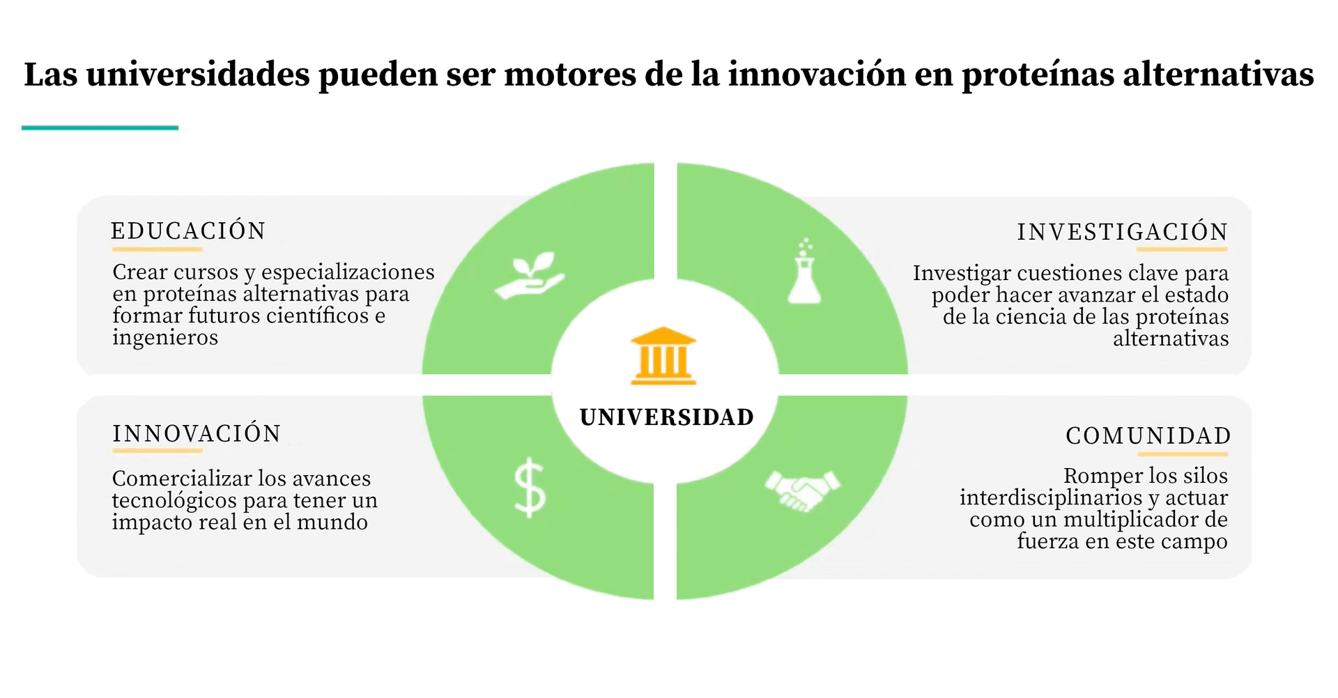 La imagen muestra un gráfico en forma de círculo dividido en cuatro sectores con una universidad en el centro. El título, en la parte superior, dice: 'Las universidades pueden ser motores de la innovación en proteínas alternativas'. Cada sector representa un área clave con un breve texto explicativo: 1. EDUCACIÓN: 'Crear cursos y especializaciones en proteínas alternativas para formar futuros científicos e ingenieros'. 2. INVESTIGACIÓN: 'Investigar cuestiones clave para poder hacer avanzar el estado de la ciencia de las proteínas alternativas'. 3. COMUNIDAD: 'Romper los silos interdisciplinarios y actuar como un multiplicador de fuerza en este campo'. 4. INNOVACIÓN: 'Comercializar los avances tecnológicos para tener un impacto real en el mundo'. Cada sector tiene un icono relacionado con su temática: una planta que representa la educación, un tubo de ensayo para la investigación, símbolos de dinero y un apretón de manos para la comunidad, y un engranaje para la innovación.