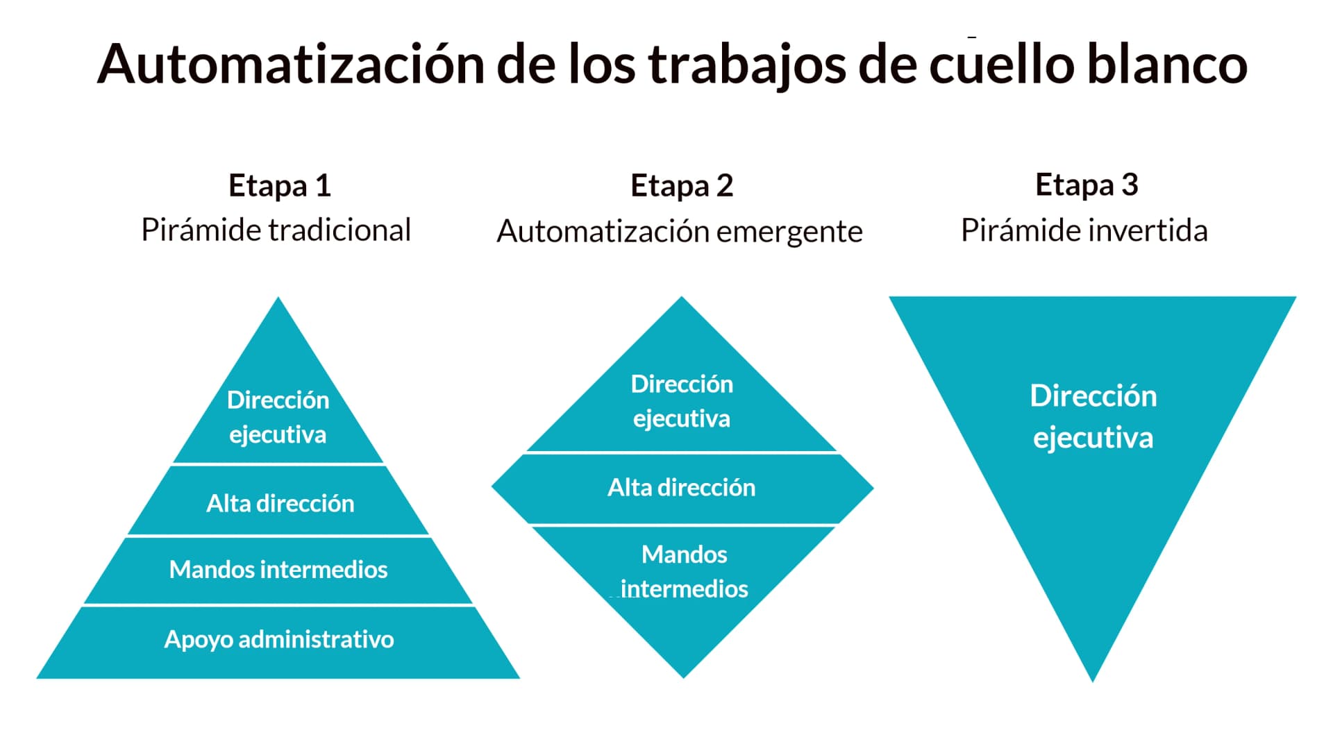 Etapas del proceso de automatización de los trabajos de cuello blanco.