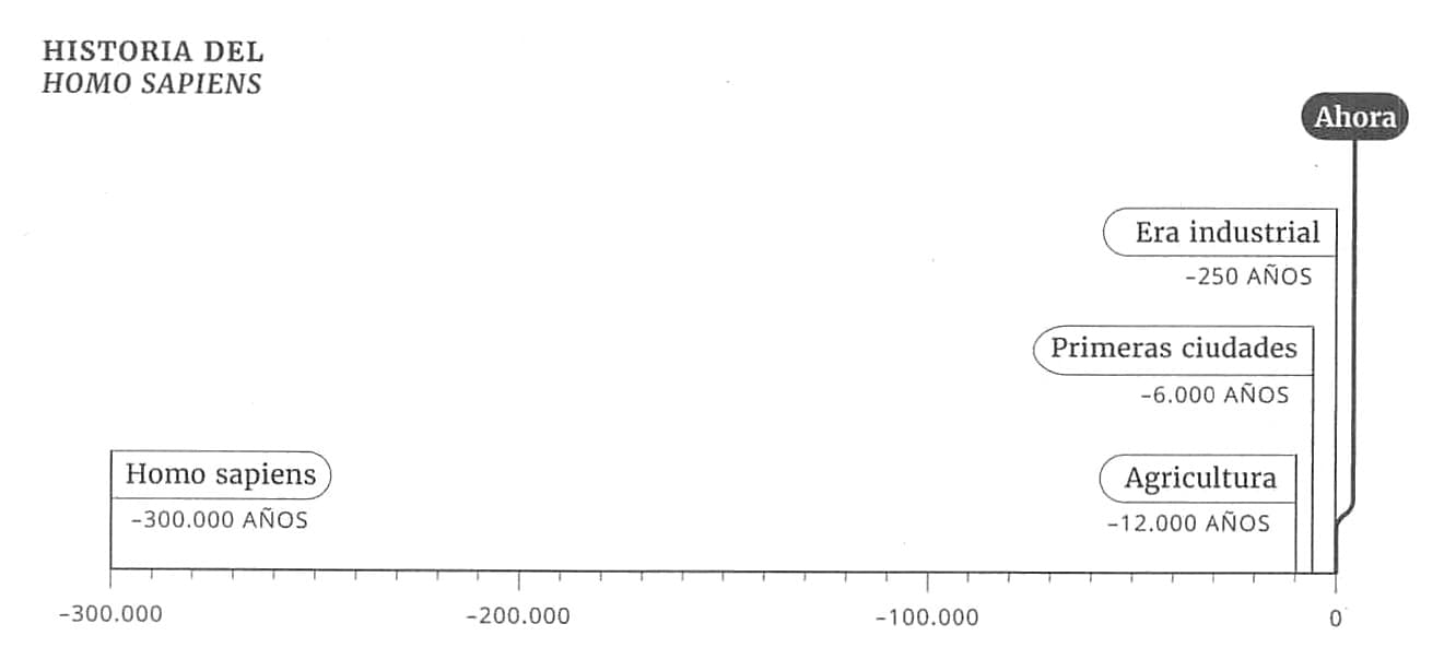 La imagen muestra un gráfico cronológico lineal que representa la 'HISTORIA DEL HOMO SAPIENS', iniciando desde hace -300 000 años con la aparición de 'Homo sapiens' y marcando desarrollos significativos como la aparición de la 'Agricultura' hace -12 000 años, las 'Primeras ciudades' hace -6 000 años y la 'Era industrial' hace -250 años, culminando en el presente, marcado como 'Ahora'.