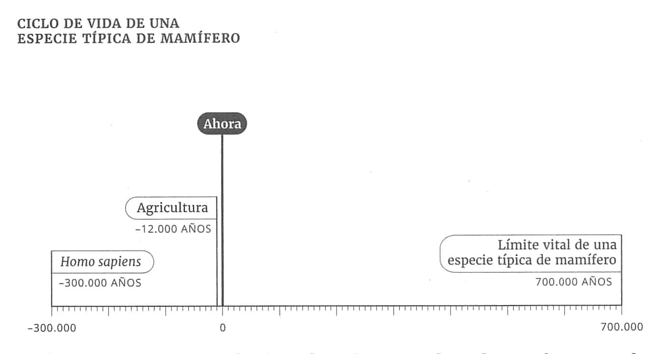 La imagen muestra un gráfico de línea de tiempo titulado 'CICLO DE VIDA DE UNA ESPECIE TÍPICA DE MAMÍFERO', marcando con rectángulos el comienzo de 'Homo sapiens' hace aproximadamente 300 000 años, el inicio de la 'Agricultura' hace 12 000 años, y señala el 'Ahora' junto al texto 'Límite vital de una especie típica de mamífero' de 700 000 años.