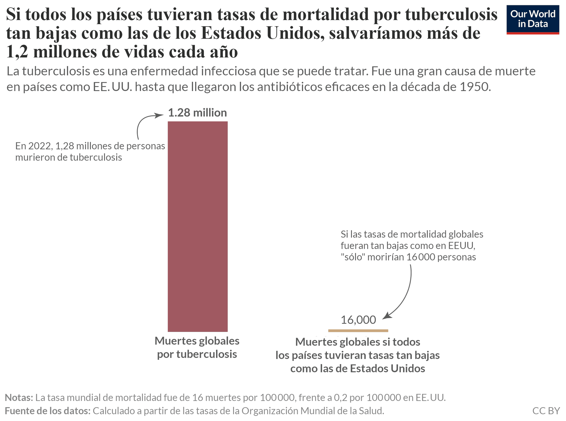 La imagen presenta un gráfico de barras titulado 'Si todos los países tuvieran tasas de mortalidad por tuberculosis tan bajas como la de Estados Unidos, salvaríamos más de 1,2 millones de vidas al año'. El gráfico presenta dos cifras principales relacionadas con las muertes por tuberculosis. A la izquierda, una barra roja alta indica que en 2022, 1,28 millones de personas murieron de tuberculosis en todo el mundo. Una nota junto a esta barra indica el total de muertes. A la derecha, una barra horizontal mucho más pequeña muestra que si las tasas de mortalidad mundiales fueran tan bajas como las de Estados Unidos, morirían de tuberculosis unas 16 000 personas. Una flecha apunta hacia esta figura, resaltando el contraste. El pie de foto explica que la tuberculosis es una enfermedad infecciosa tratable que tenía altas tasas de mortalidad antes de que se introdujeran los antibióticos en la década de 1950. En la parte inferior, unas notas aclaran que la tasa de mortalidad mundial se calculó en 16 muertes por cada 100 000 personas, frente a 0,2 por cada 100 000 en Estados Unidos. La fuente de los datos se identifica como cálculos basados en tasas de la Organización Mundial de la Salud, con licencia CC BY.