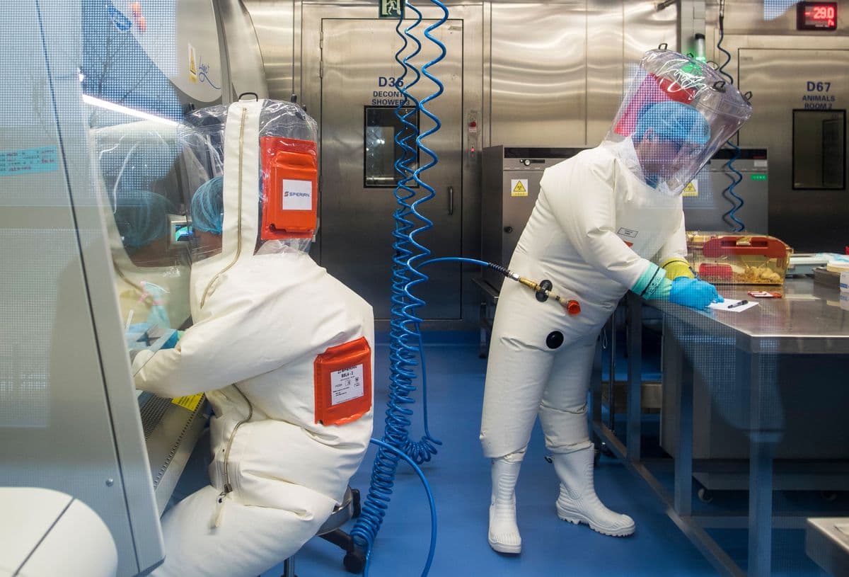Dos personas con trajes de bioseguridad blancos trabajan en un laboratorio especializado, manipulando materiales dentro de una cámara de seguridad biológica.