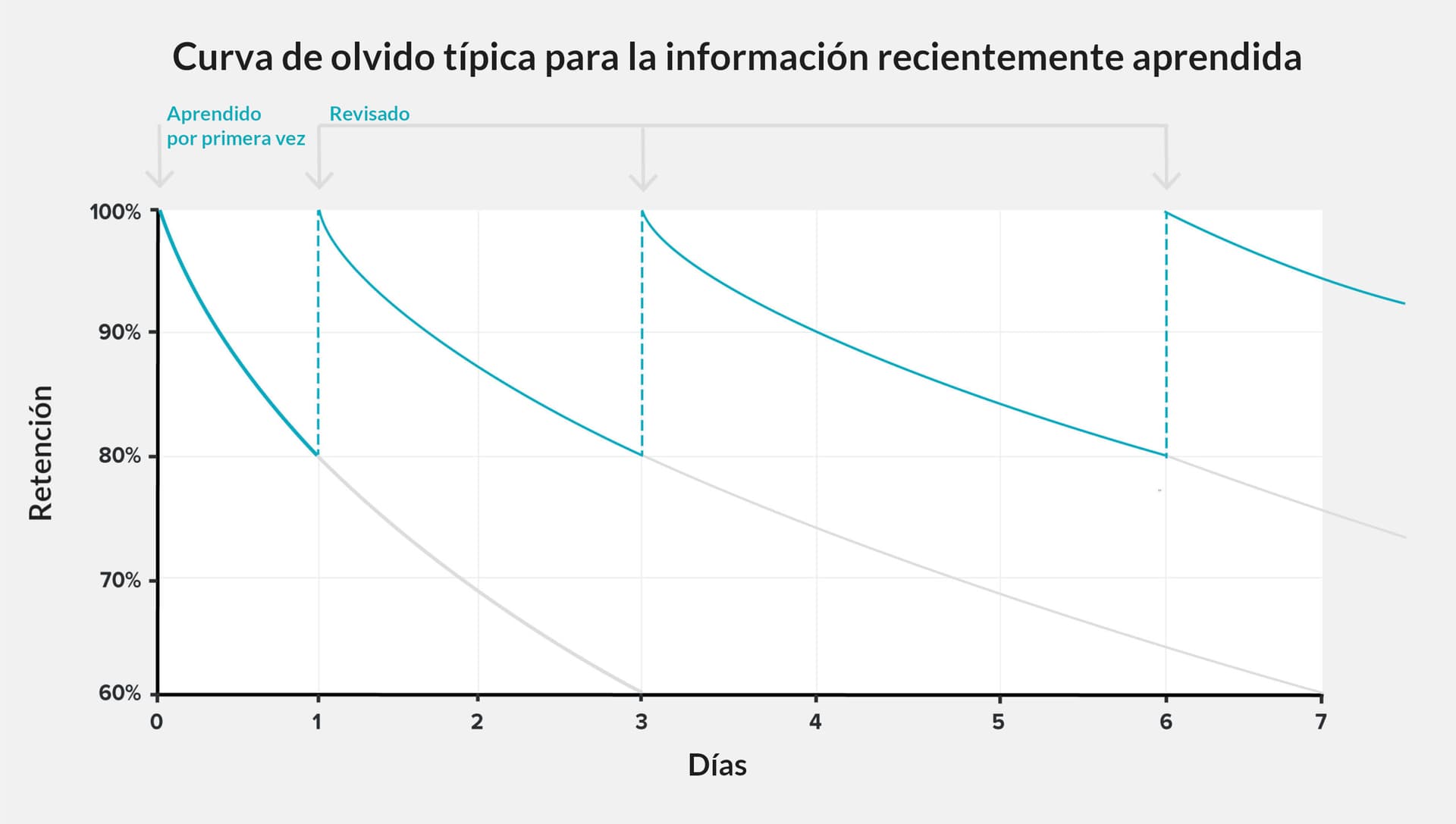 La imagen ilustra una “curva de olvido típica de la información recién aprendida”, que muestra cómo la retención disminuye con el paso de los días y mejora temporalmente con las revisiones.