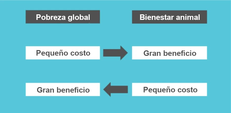 La imagen ilustra la costo-eficacia de las donaciones benéficas, mostrando cómo pequeñas donaciones pueden generar grandes beneficios a la hora de abordar la pobreza global y los problemas de bienestar animal mediante la asignación estratégica de recursos.